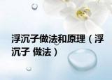 浮沉子做法和原理（浮沉子 做法）