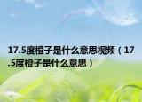 17.5度橙子是什么意思视频（17.5度橙子是什么意思）