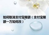 如何取消支付宝限额（支付宝限额一万如何改）