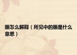 振怎么解释（所见中的振是什么意思）