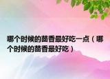 哪个时候的茴香最好吃一点（哪个时候的茴香最好吃）