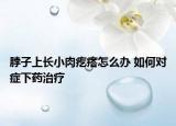 脖子上长小肉疙瘩怎么办 如何对症下药治疗