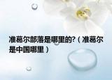 准葛尔部落是哪里的?（准葛尔是中国哪里）