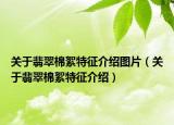 关于翡翠棉絮特征介绍图片（关于翡翠棉絮特征介绍）