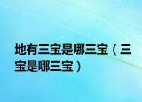 地有三宝是哪三宝（三宝是哪三宝）