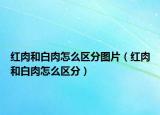 红肉和白肉怎么区分图片（红肉和白肉怎么区分）