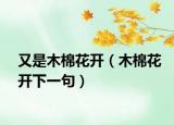 又是木棉花开（木棉花开下一句）