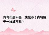 青岛市是不是一线城市（青岛属于一线城市吗）