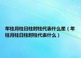 年柱月柱日柱时柱代表什么星（年柱月柱日柱时柱代表什么）