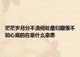 茫茫岁月分不清何处是归期恨不知心底的在意什么意思