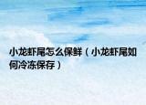 小龙虾尾怎么保鲜（小龙虾尾如何冷冻保存）
