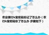 农业银行k宝密码忘记了怎么办（农行k宝密码忘了怎么办 步骤如下）