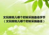 文玩核桃儿哪个时候采摘最佳季节（文玩核桃儿哪个时候采摘最佳）