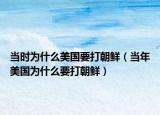 当时为什么美国要打朝鲜（当年美国为什么要打朝鲜）