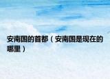 安南国的首都（安南国是现在的哪里）