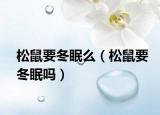 松鼠要冬眠么（松鼠要冬眠吗）
