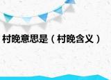村晚意思是（村晚含义）