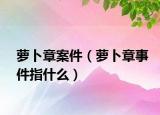 萝卜章案件（萝卜章事件指什么）