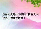 抚台大人是什么级别（抚台大人相当于现在什么官）
