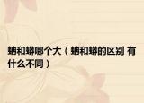 蚺和蟒哪个大（蚺和蟒的区别 有什么不同）