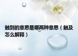 触到的意思是哪两种意思（触及怎么解释）