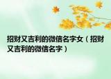 招财又吉利的微信名字女（招财又吉利的微信名字）
