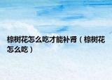 棕树花怎么吃才能补肾（棕树花怎么吃）
