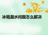 冰箱漏水问题怎么解决