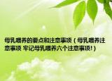 母乳喂养的要点和注意事项（母乳喂养注意事项 牢记母乳喂养六个注意事项!）