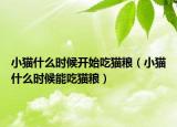小猫什么时候开始吃猫粮（小猫什么时候能吃猫粮）
