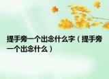 提手旁一个出念什么字（提手旁一个出念什么）