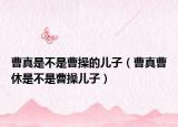 曹真是不是曹操的儿子（曹真曹休是不是曹操儿子）