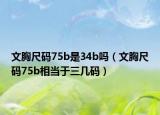 文胸尺码75b是34b吗（文胸尺码75b相当于三几码）