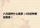 六月底种什么蔬菜（6月初种哪些蔬菜）
