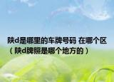 陕d是哪里的车牌号码 在哪个区（陕d牌照是哪个地方的）