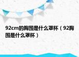 92cm的胸围是什么罩杯（92胸围是什么罩杯）