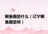 鲅鱼圈是什么（辽宁鲅鱼圈是啥）