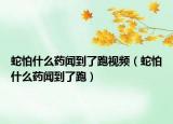 蛇怕什么药闻到了跑视频（蛇怕什么药闻到了跑）