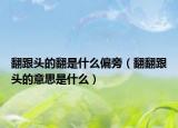 翻跟头的翻是什么偏旁（翻翻跟头的意思是什么）