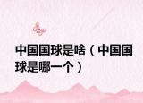 中国国球是啥（中国国球是哪一个）