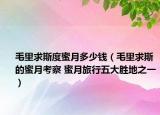 毛里求斯度蜜月多少钱（毛里求斯的蜜月考察 蜜月旅行五大胜地之一）