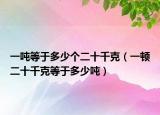 一吨等于多少个二十千克（一顿二十千克等于多少吨）