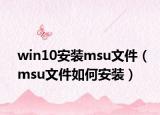 win10安装msu文件（msu文件如何安装）