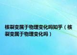 核裂变属于物理变化吗知乎（核裂变属于物理变化吗）
