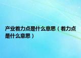 产业着力点是什么意思（着力点是什么意思）