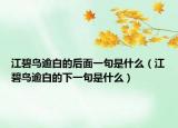 江碧鸟逾白的后面一句是什么（江碧鸟逾白的下一句是什么）