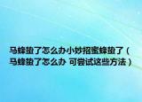 马蜂蛰了怎么办小妙招蜜蜂蛰了（马蜂蛰了怎么办 可尝试这些方法）