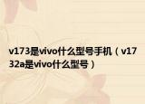 v173是vivo什么型号手机（v1732a是vivo什么型号）