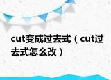 cut变成过去式（cut过去式怎么改）