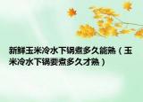 新鲜玉米冷水下锅煮多久能熟（玉米冷水下锅要煮多久才熟）